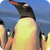 Penguin Planet -Basic info
