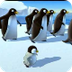Pigloo - Papa pingouin- YourKi