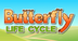 Butterfly Life Cycle  Game
