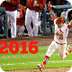 St. Louis Cardinals 2016 Pump 