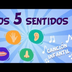 Los 5 sentidos | Canciones Edu