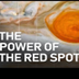 The Power of Jupiter's Red Spo