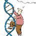 Estructura y genética ADN