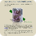 Four Painful Joint Disorders