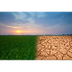 Environmental Changes