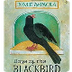 Days Of The Blackbird