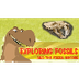 Exploring Fossil Records, How 
