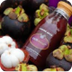 Obat Herbal Kanker