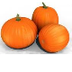 Pumpkin Addition