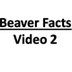 Beaver facts: they might actua