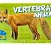 Vertebrate Animals | Education