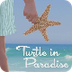 Turtle in Paradise by Jennifer
