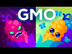 Are GMOs Good or Bad? Genetic
