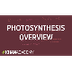 Photosynthesis Khan Academy