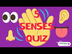 5 Senses Quiz