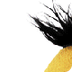 Appeltaart