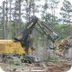 Logging