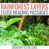 Close Reading: Rainforest
