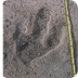 Geopic of the week: Dinosaur t