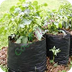 Store for Hydroponic Grow Bags