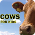 Cow Videos for Children, More 