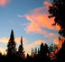 Nature Sounds MP3 Downloads - Nature Sounds.ca - Best Quality nature sounds MP3s, for sleep, relaxation, meditation, ambience.