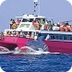 barcos de pasajeros -