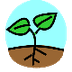 Plant Life Cycles Game 