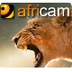 Africam | A LIVE 24x7 Interact