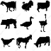 Clic 18 (Ombres animals)