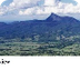Gondwana Rainforests