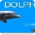 Delfín Juego