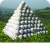 Land Art Wesite M4D3/D5