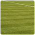 streakers