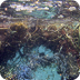 Great Pacific Garbage Patch - 