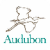 Birds | Audubon