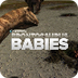 Cutest Baby Dinosaurs - YouTub