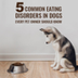 5 Eating Disorders in Dogs
