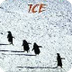 Land of Ice.MOV - Google Drive