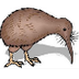 How the Kiwi Lost its Wings
