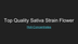 Best Sativa Flower Strains Hol