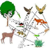 Relations in a Food Web