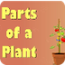 Parts of a Plant | #aumsum - Y