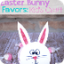 Easter Bunny Favors: Kid's Cra