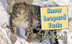 Snow Leopard Facts For Kids: I
