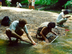Fossil Hunting