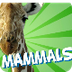 Mammals | Educational Video fo