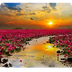 flores , ¿que sabemos de ellas