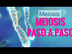 meiosis paso a paso
