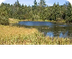 Medio ambiente - Wikipedia, la